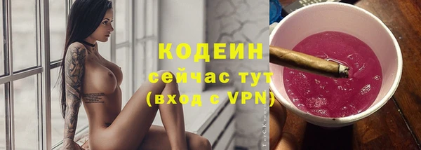 хмурый Заводоуковск