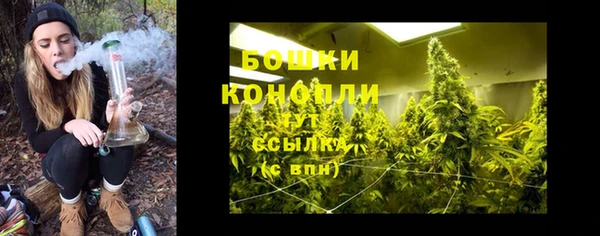 хмурый Заводоуковск